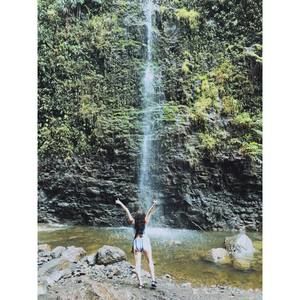 Meet your Posher, Avree